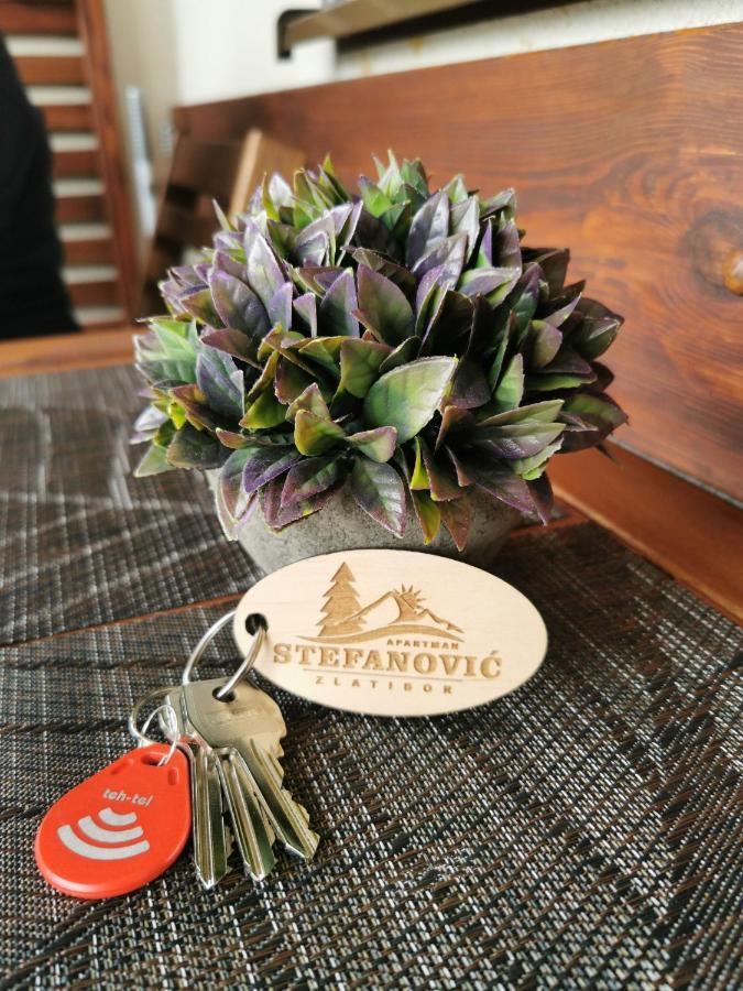 Apartman Stefanovic Vila Darija Lux Zlatibor Kültér fotó