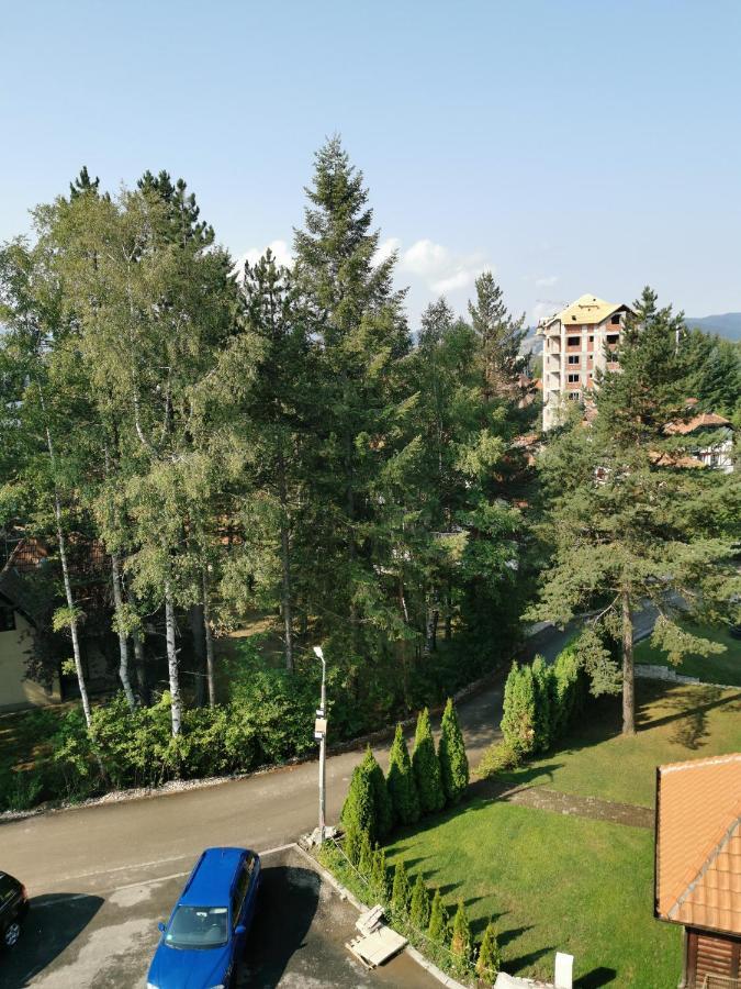 Apartman Stefanovic Vila Darija Lux Zlatibor Kültér fotó