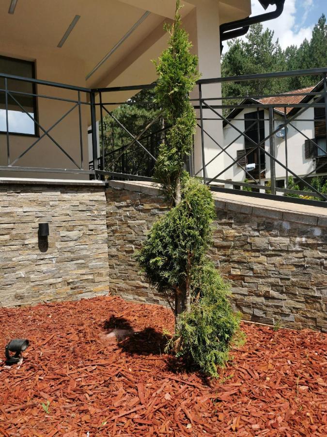 Apartman Stefanovic Vila Darija Lux Zlatibor Kültér fotó